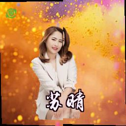苏晴